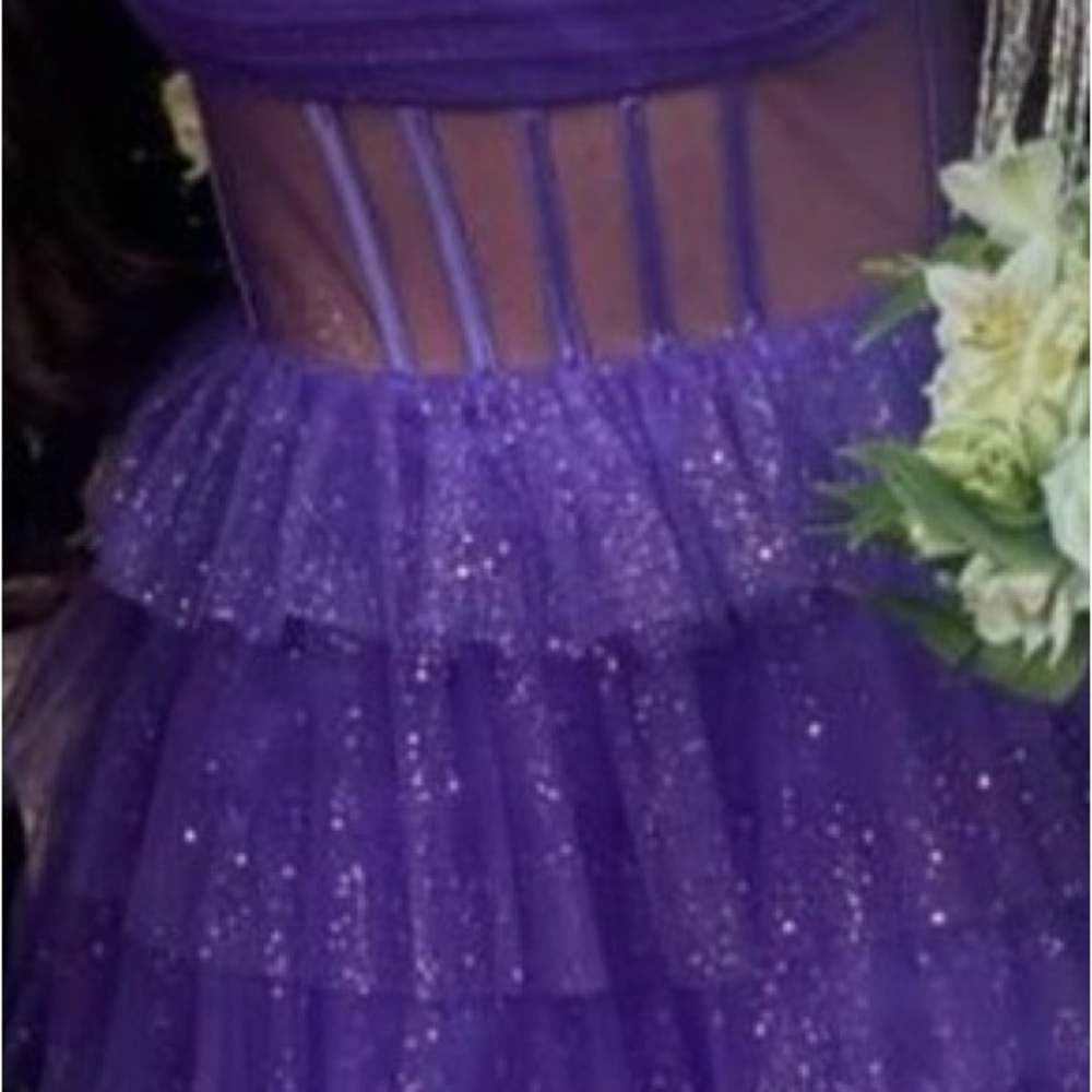 Purple Strapless Tulle Dress - Picture 4 of 4